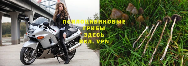 герыч Алзамай